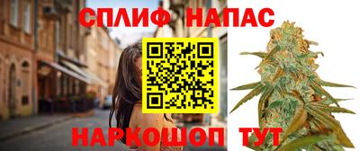 сатива Магадан