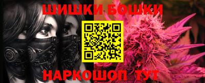 шишки Мирный