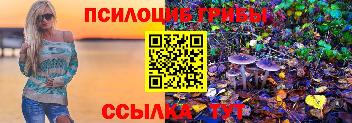 Псилоцибиновые грибы Magic Shrooms Красногорск
